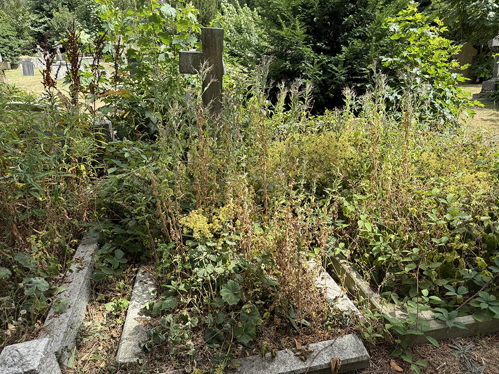images/Cemetery/Gardening/2026%20-%204%20August%20before%20clearing.jpg#joomlaImage://local-images/Cemetery/Gardening/2026 - 4 August before clearing.jpg?width=1000&height=750
